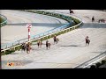 多重落馬事故があった金沢競馬のレース