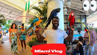 Miami Vlog 2022 - Miami Beach, South Beach, and More in Miami!