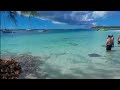 Hand Feeding Stingrays in the Bahamas!!
