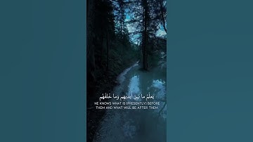 آية الكرسي بصوت القارئ إسلام صبحي | راحة نفسية لا توصف | #قرآن_كريم #إسلام_صبحي #آية_الكرسي