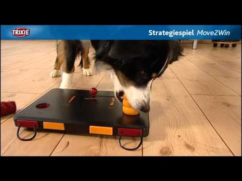 Dog, Trixie Dog Activity Chess Game Level 3