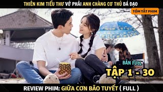 Review Phim Giữa Cơn Bão Tuyết | Full Tập 1 - 30 | Amidst A Snowstorm Of Love | Thiên Kim Tiểu Thư