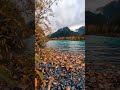 Nature Relaxation Video