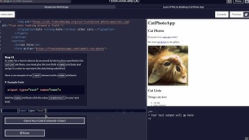 FreeCodeCamp - Responsive Web Design - Step 41 of 71 -  Learn HTML by Building a Cat Photo App