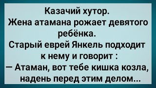 видео: Атаман! Надень Перед Этим Делом! Сборник Свежих Анекдотов! Юмор!. картинка: Атаман! Надень Перед Этим Делом! Сборник Свежих Анекдотов! Юмор!.