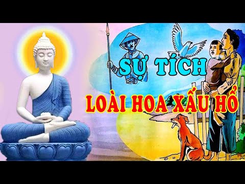 Video Sự Tích Loài Hoa Xấu Hổ Và Nỗi Đau Người Con Gái Chờ... - youtube
