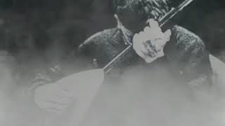 Arı Çiçekten Bal Yapar...