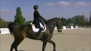 Concours Dressage - Grand National Dressage Jardy 2017 - Selius Et Julie Lavergne