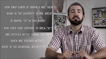 eMammal Academy - Asking Questions