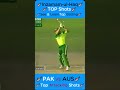 🏏Pakistan VS Austraila ❤️ Inzamam-ul-Haq ❤️ Lovely Shots ❤️ Learn Cricket Batting Skills🏏#cricket