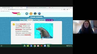 Ocean Animals