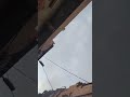 عيساوى مستغانم مزغران