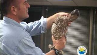Live Animal Demonstration With Nigel Marven & Michael Price Presented By The Nature Center
