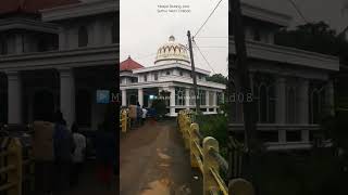 LAU KANA BAINANAN HABIB 🤗🤩😍🎶 #shorts #sholawat #sholawatnabi #laukanabainanalhabib #habib  #habibi