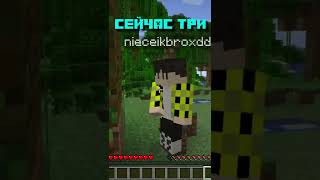 МАЙНКРАФТ НО МЫ СНОВА ИГРАЕМ В СЛОВА С @nieceikbro #shorts #minecraft #майнкрафт