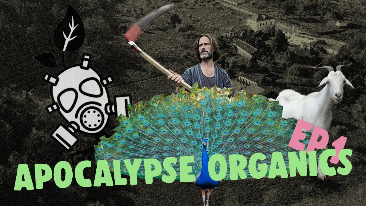 Starting an organic farm from scratch (in corona lockdown)