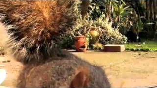 Greensboro Home Remodeling Greensboro NC
