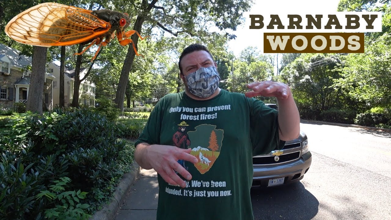 Barnaby Woods (DC Neighborhood 5 / 131)