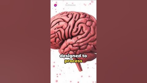 The Myth of Multitasking  Unveiled #mind #trending