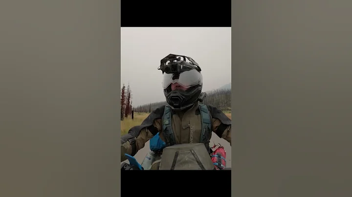 #wildlensbyabrar #jasper