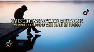 DJ SAD! INGIN RASANYA KU MENANGIS MERINDU KAN DIRIMU | SLOWEED VIRAL TIKTOK 2026!! Full bass