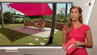 Wdr Sonnensegel In Aufrollbar Oder Eine Klassische Markise Als Sonnenschutz Für Die Terrasse