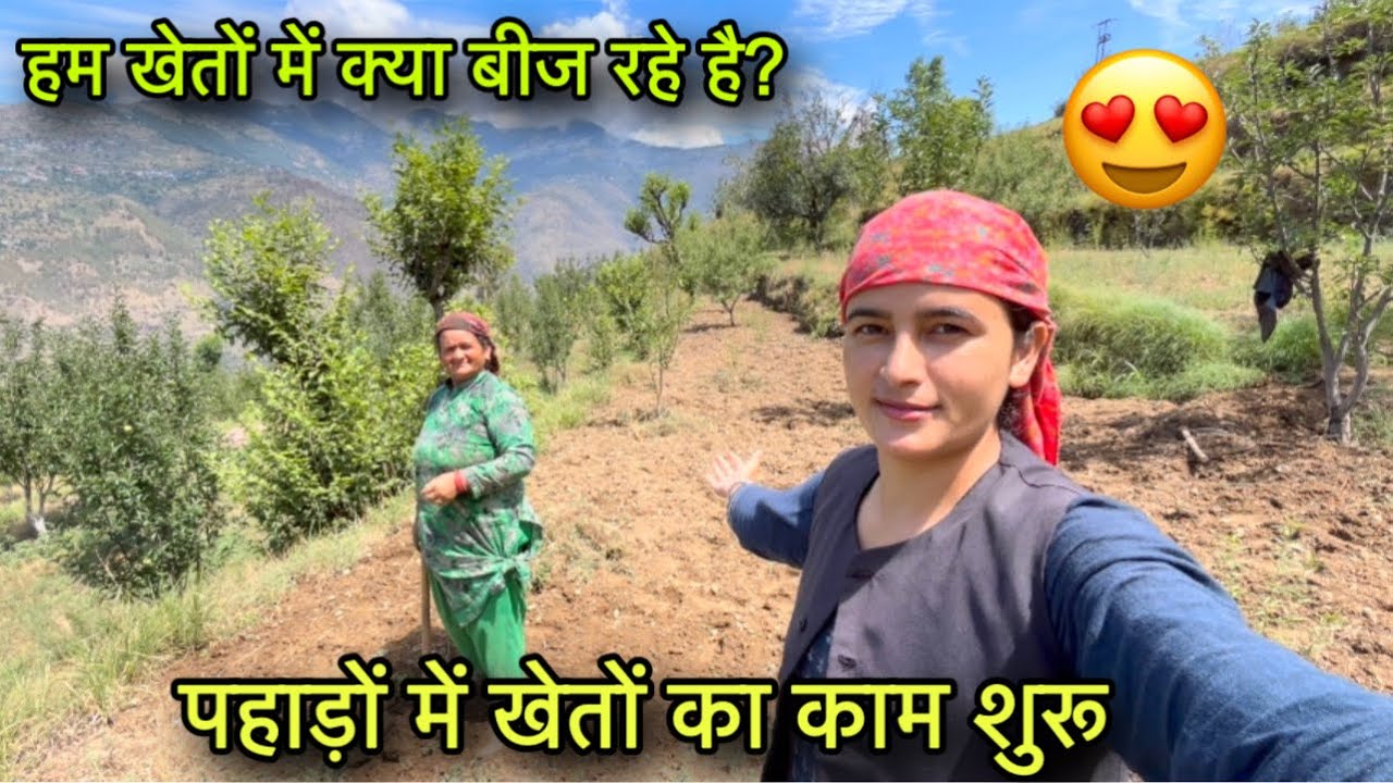 पहाड़ों में खेतों का काम शुरू 😍 || क्या बीज रहे हम? || Pahadi lifestyle Vlog || Girl from North