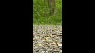 Abandoned PA: Silver mine - part 1