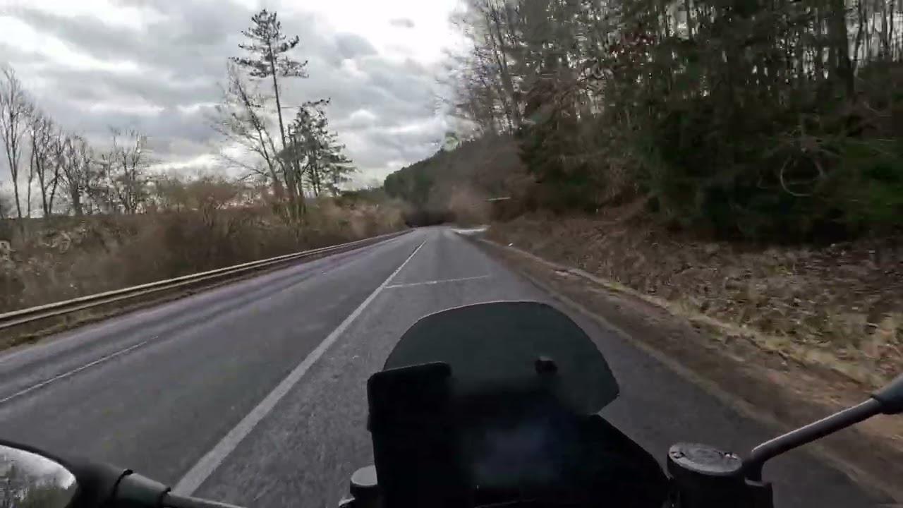 ALONE IN THE WOODS - VERDUN ,FRANCE