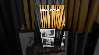 👀 Eye Catching Treehaus Audiolab Speakers at Axpona 2026