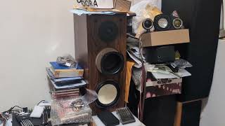 AVi bsm 三音路配雙高音配2台AB-1804純後級,女聲測試(大音量)
