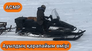 :   .
