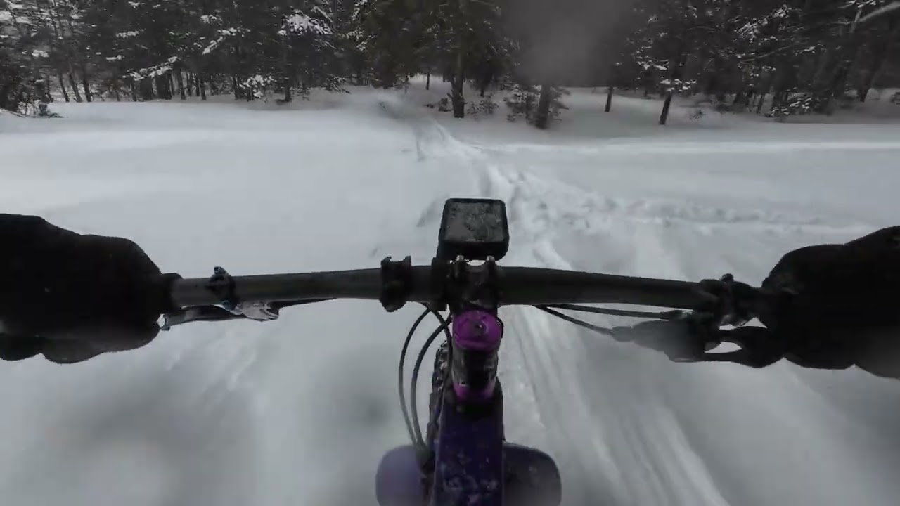 По  хорошим снегоходкам