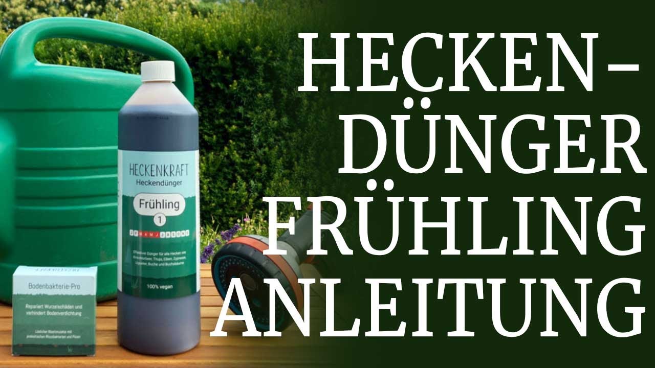 Hecke retten oder einem Schub geben nach dem Winter? So wird sie schnell  wieder grn (Anleitung)