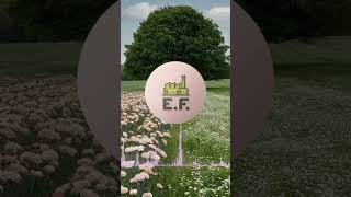 Eta Kanto #esperanto #kantoj