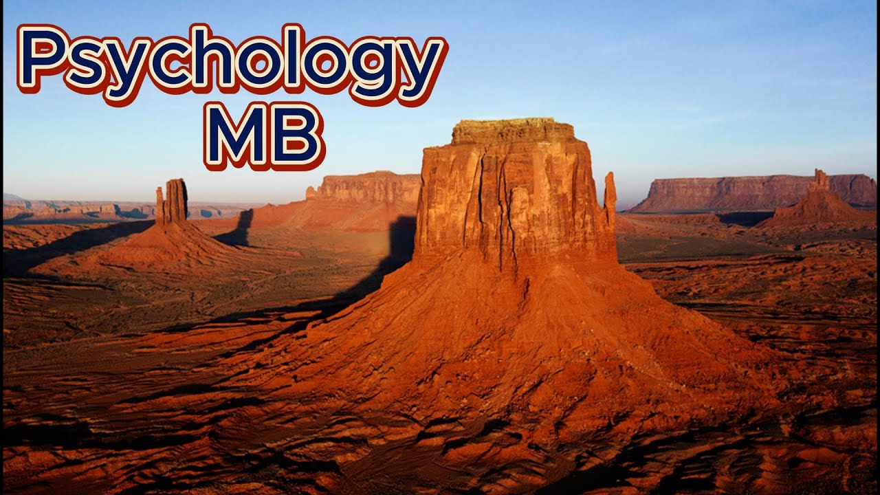 المخططات المعرفية (03 تابع) Cognitive Schemas