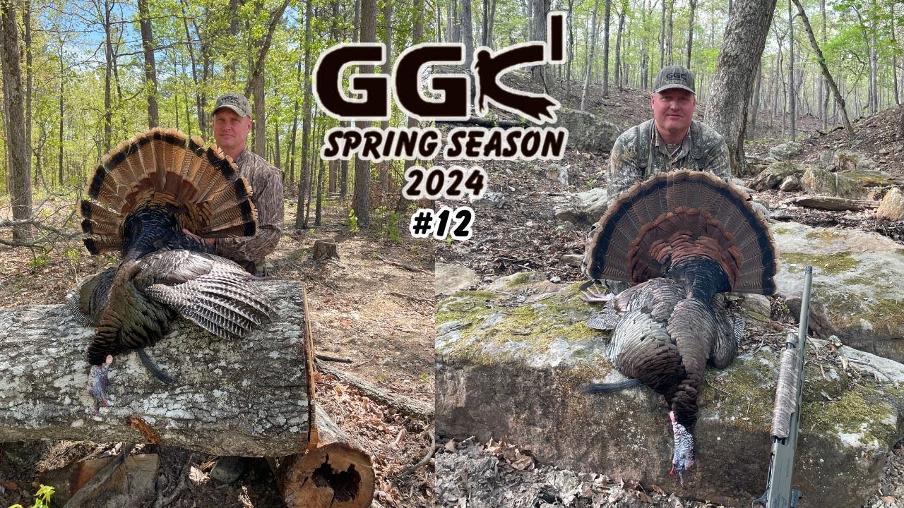 Spring Turkey Season 2024 #12 ( Traveling spring turkey hunting days 3