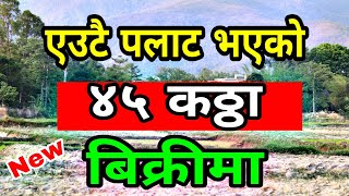 45 kattha|6 lakh | sasto | land for sale |Dang Deukhuri| hamrobazar | real estate nepal || pgc mix |