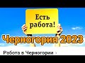 Черногория 2023 🇲🇪 | Есть ли работа в Черногории? | Примеры ВАКАНСИЙ |