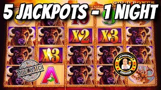 5 MUST SEE JACKPOTS - 1 Night - Buffalo Gold Slot Machines screenshot 1