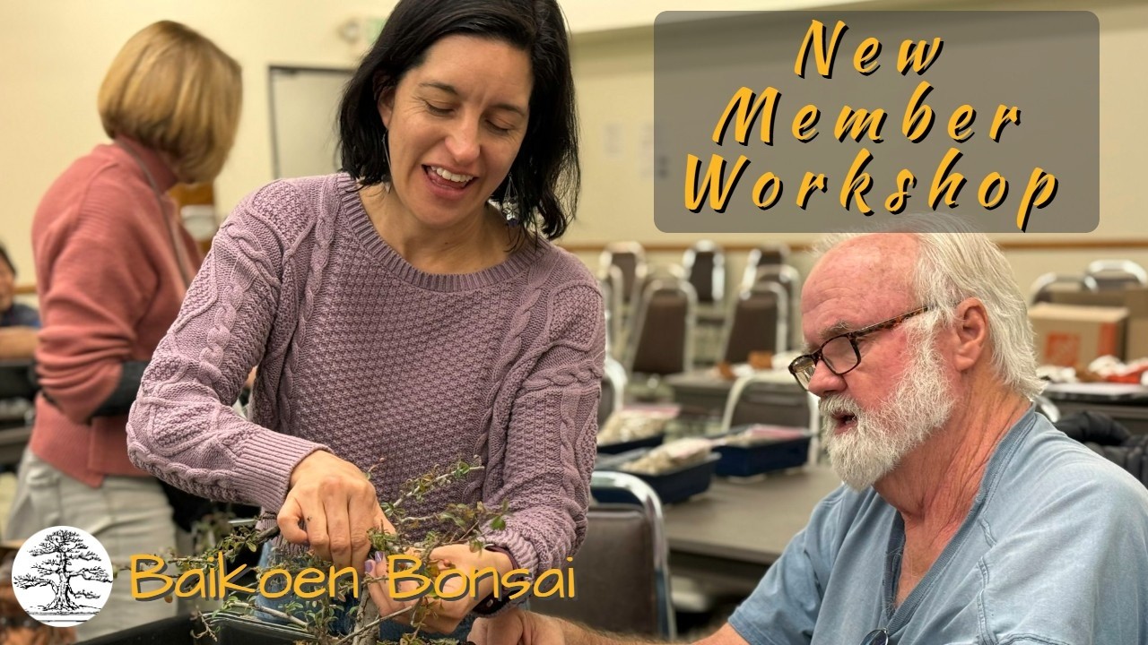 Как вырастить бонсай из посадочного материала – мастер-класс для новых членов клуба Байкоэн