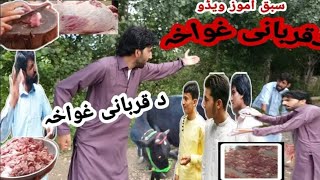 Da Qurbani Ghawkha Aw Sada Gul New Funny Video Eid Gift By Jandool Vines Dir 2021