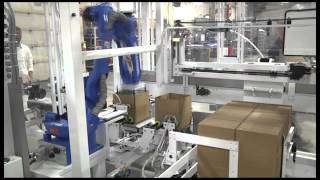 SV270 Robotic Case Packer, Packing Containers of Cheese