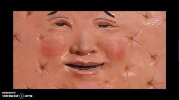 GR 5, Second Step, Lesson 9, Pre Lesson Video, Brain, Body and Emotions, Part 1