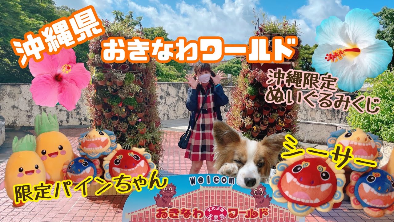 沖縄限定 おきなわワールド ぬいぐるみくじ パインちゃん 特等 ぬいぐるみくじの旅】☆沖縄県☆おきなわワールド - YouTube