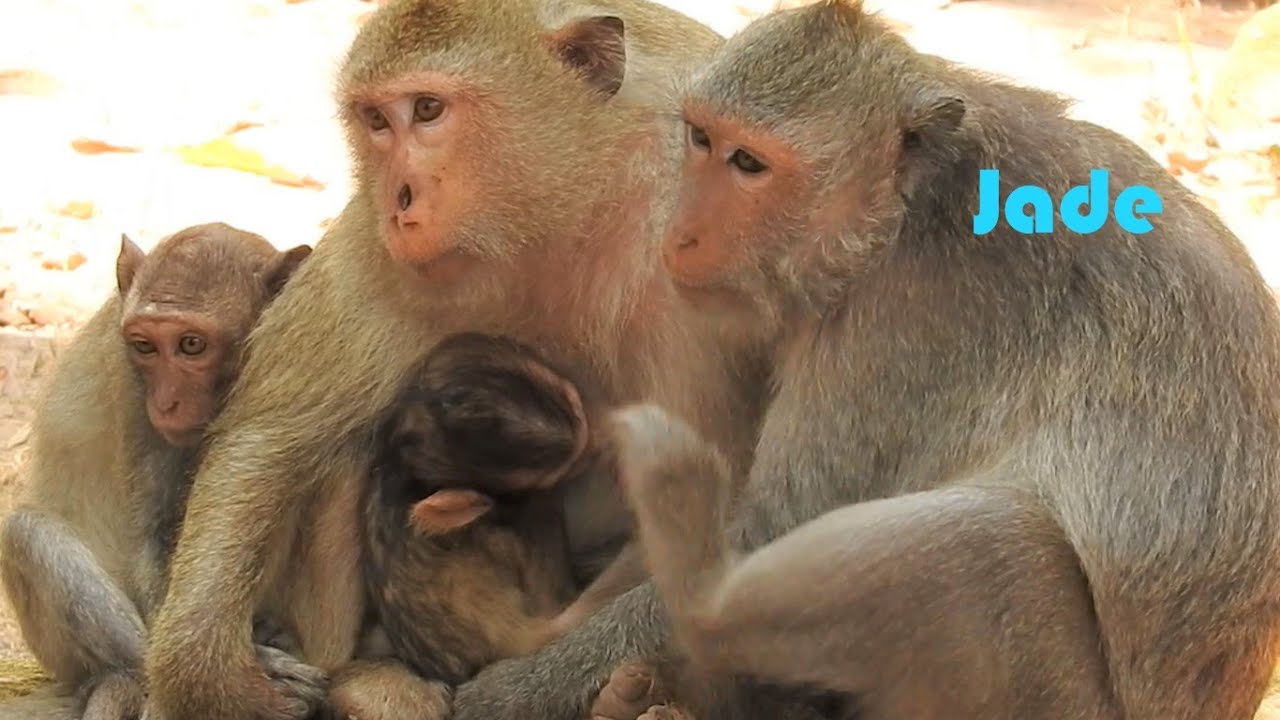 Very sad Jade!Jade feels miss her lovely baby Jayden|Pity baby Jayden passed away very young!