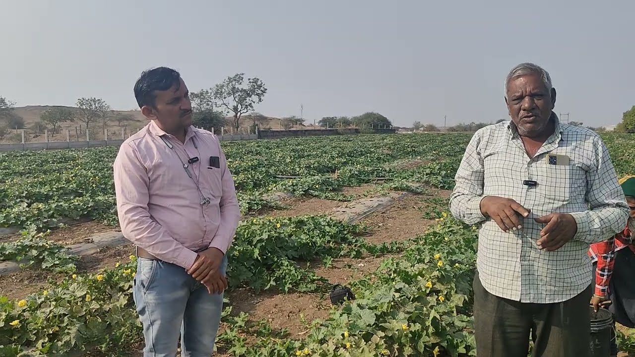 કોણ કહે છે કે... ખેતીમાં પૈસા ના મળે..કેશુભાઈ ખોયાની