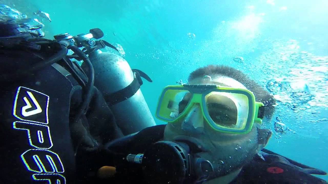 Heart Reef scuba diving YouTube