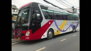 LEMON TREE (FEAT. FOOLS GARDEN)