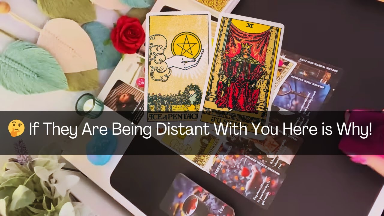 If They Are Being Distant With You Here is Why!  #tarot #love #soulmate #tarotreading #horoscope